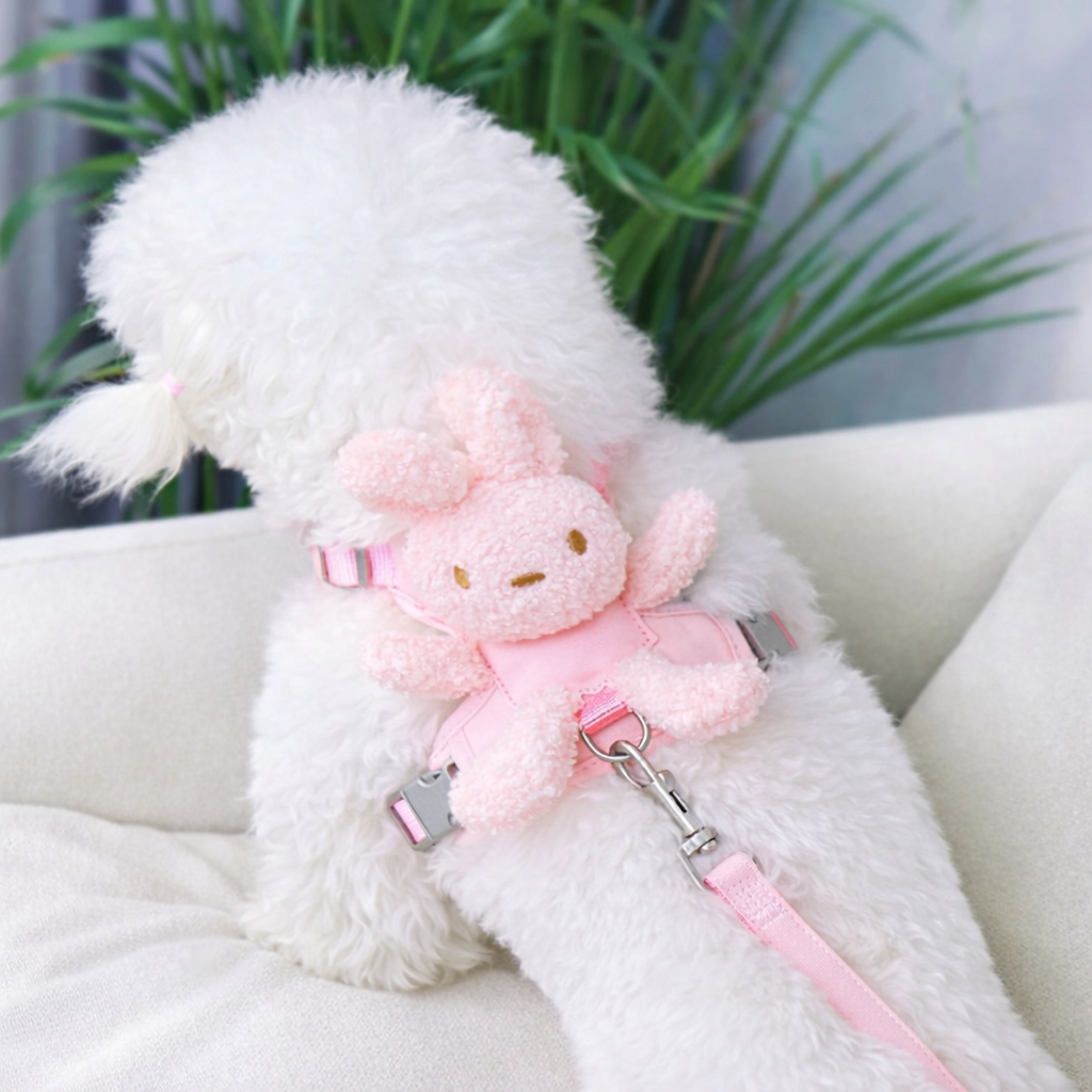 Evcil Hayvan Peluş Ayıcıklı Göğüs Gezdirme Tasması Set
